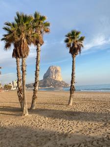 three palm trees on a beach with a mountain in the background at Appartement Calpe ApoloV Ibiza Style in Calpe +13 photos