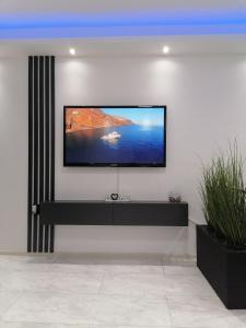 DIV Bor TV 또는 엔터테인먼트 센터