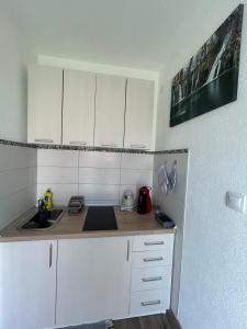 Kuchyň nebo kuchyňský kout v ubytování Studio apartman Marta
