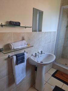 a bathroom with a sink and a shower and a mirror at Siesta Cottage in Howick +19 photos