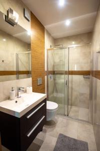 La salle de bains est pourvue d'une douche, d'un lavabo et de toilettes. dans l'établissement Duże mieszkanie, ogród i parking, à Radwanice