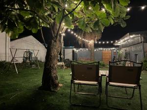zouzou hostel في غرين آيلاند: كرسيين يجلسون أمام شجرة في الليل
