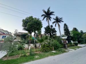a house with palm trees on the side of the road at Decent Lodge Guest House F-10 in Islamabad