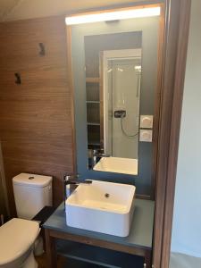 een badkamer met een wastafel en een toilet bij lodge lavallee in Belvédère