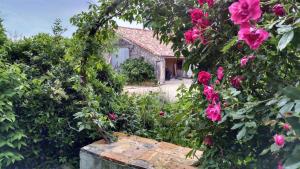 un giardino con fiori rosa di fronte a una casa di Domaine Dauget a Saint-Maurice-la-Clouère