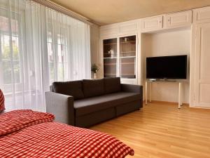 Revier im Städtli-Quartier في غلروس: غرفة معيشة مع أريكة وتلفزيون بشاشة مسطحة