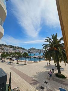a beach with a palm tree and a body of water at DEA Room 2 in Sarandë
