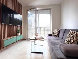 salon z kanapą i telewizorem w obiekcie Baltic Line - Zielona Wyspa w mieście Sobieszewo