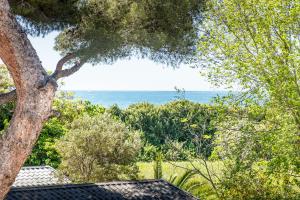 a view of the ocean from a tree at Camping Relax Sol in Torredembarra +23 photos