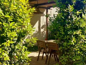 een tafel en stoelen in een tuin met bomen bij Stagnone Area Zero in Birgi Vecchi