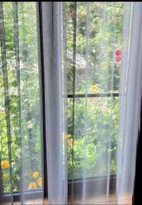 A garden outside GIO-NIKA