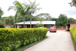 Zahrada ubytování Spacious 3 bedroom house in Lilayi, Lusaka