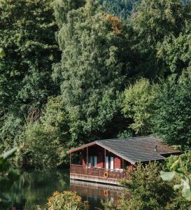 a cabin in the middle of a river with trees at Herons Lake Retreat Lodges in Caerwys