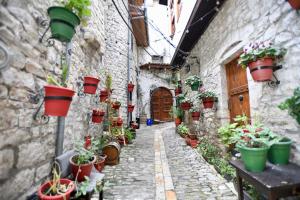 un callejón con macetas al lado de un edificio en Guesthouse Alvaro Kadiu, en Berat