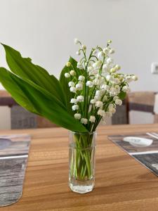 Fotografie z fotogalerie ubytování Babsi Appartments - leben am Land v destinaci Wels