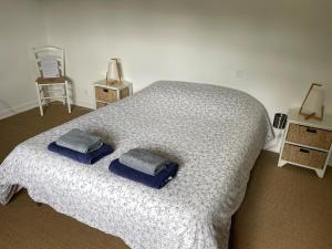 a bedroom with a bed with two pillows on it at La Sauveterre in Mours-Saint-EusÃ¨be +13 photos