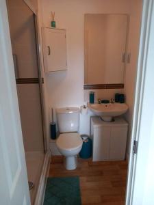 La petite salle de bains est pourvue de toilettes et d'un lavabo. dans l'établissement NEW 2 Bedroom Flat in Hatfield, à Hatfield
