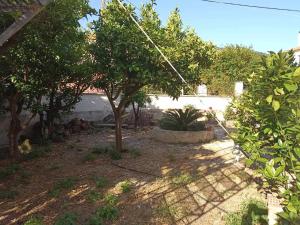a garden with trees in a yard with a building at Machouse in Mytilene