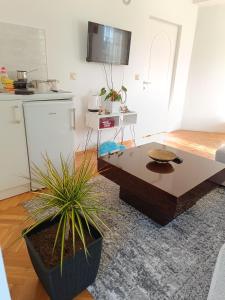 Cucina o angolo cottura di Vila Sentić