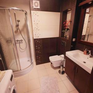 クリニツァ・モルスカにあるContinental Apartament przy plazyのバスルーム(シャワー、トイレ、シンク付)