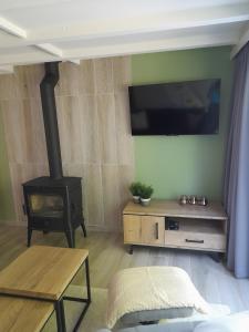 sala de estar con estufa de leña y TV en L'Écureuil - Terrasses de Malmedy, en Malmedy