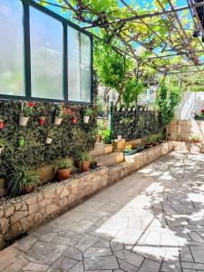un jardín con macetas en una pared de piedra en Apartments Marin Tomas, en Dubrovnik