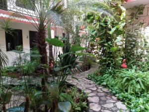 um jardim com palmeiras e plantas num edifício em Hotel Quinta Marciala MX em Valladolid