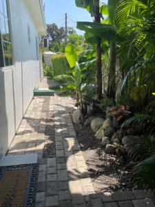 un jardín con una pasarela de piedra junto a un edificio en Centrally Located Room - 5 en Port Antonio