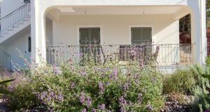 ポロスにあるSissy Villas 1の紫の花の白い家