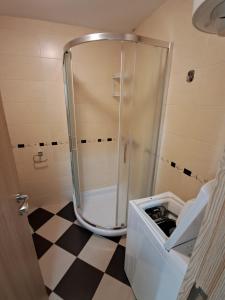 Koupelna v ubytování Apartman Verica + 16 fotografií