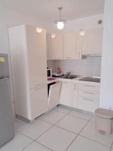 Kuchyň nebo kuchyňský kout v ubytování Apartman Verica