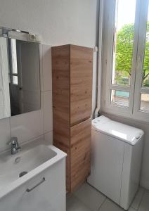 een badkamer met een wastafel, een toilet en een spiegel bij Le Balcon d'Anatole in Le Mans
