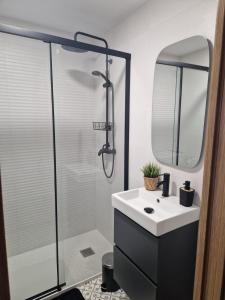 a bathroom with a sink and a shower at Apartamento Mouro in Santander