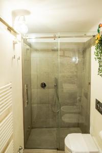 モンテカルロにあるAntica Casa Dei Rassicuratiのバスルーム(ガラス張りのシャワー、トイレ付)