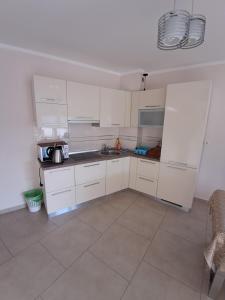 Kuchyň nebo kuchyňský kout v ubytování Apartman Verica
