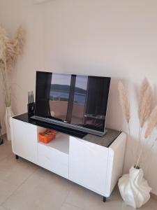 TV a/nebo společenská místnost v ubytování Apartman Verica