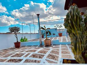 a cactus on the roof of a house at Civico 22 - HOLIDAY HOME in Oria