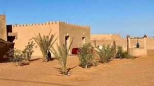 a group of plants in front of a building in the desert at Karawanserail-Khamlia in Khamliya