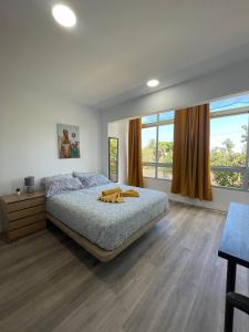 1 dormitorio con 1 cama y 2 ventanas en CoLiving El Juanito, en Las Palmas de Gran Canaria
