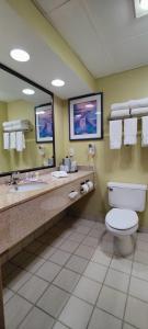 La salle de bains est pourvue de toilettes et d'un grand miroir. dans l'établissement Hotel Bemidji, à Bemidji