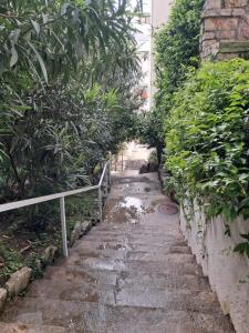 Zahrada ubytování Apartman Verica