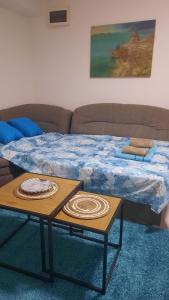 a bed and a coffee table in a living room at Blue Serenity Apartment in Ohrid