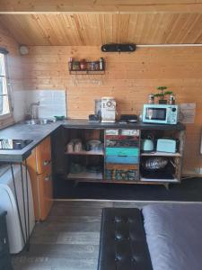una pequeña cocina con encimera y microondas en Le temps suspendu en Trèbes