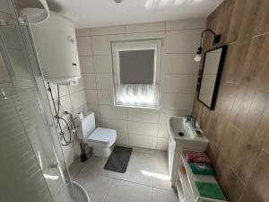 een kleine badkamer met een toilet en een wastafel bij Przystań Stare Kotlice 