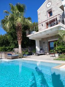 a house with a palm tree and a swimming pool at Villa Castello in Bodrum City