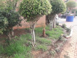 Gallery image of Diar el atlas in Beni Mellal