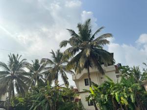 un edificio con palme di fronte ad esso di KENSON'S INN a Mangalore