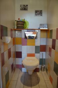 uma casa de banho com um WC numa parede colorida em Pialous:Chalet en rondins avec Espace Détente em La Chapelle-dʼAurec