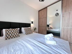 1 dormitorio con 1 cama grande y espejo grande en Baltic Line - Zielona Wyspa, en Sobieszewo