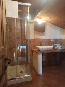 a bathroom with a glass shower and a sink at Rota d'Amont in Stroppo